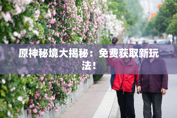 原神秘境大揭秘：免费获取新玩法！