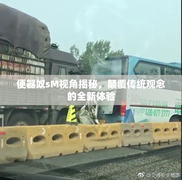 便器奴sM视角揭秘，颠覆传统观念的全新体验