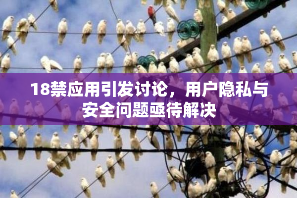 18禁应用引发讨论，用户隐私与安全问题亟待解决