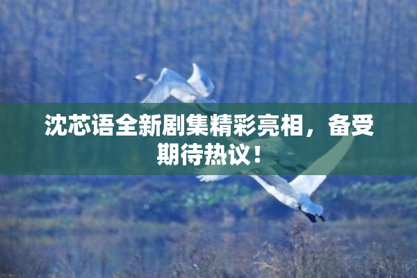 沈芯语全新剧集精彩亮相，备受期待热议！