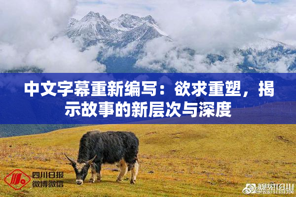 中文字幕重新编写：欲求重塑，揭示故事的新层次与深度