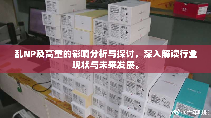 乱NP及高重的影响分析与探讨，深入解读行业现状与未来发展。