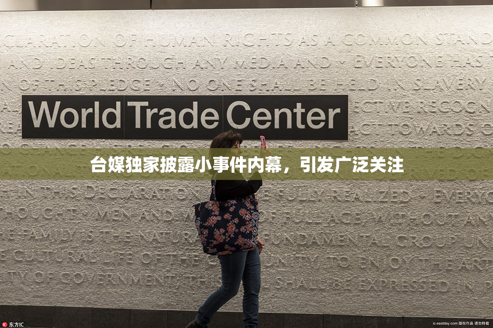 台媒独家披露小事件内幕，引发广泛关注