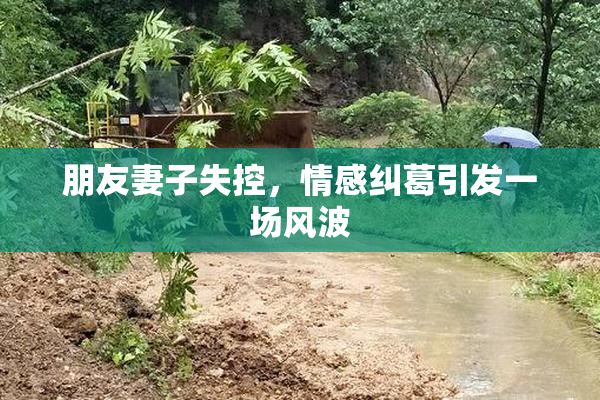 朋友妻子失控，情感纠葛引发一场风波