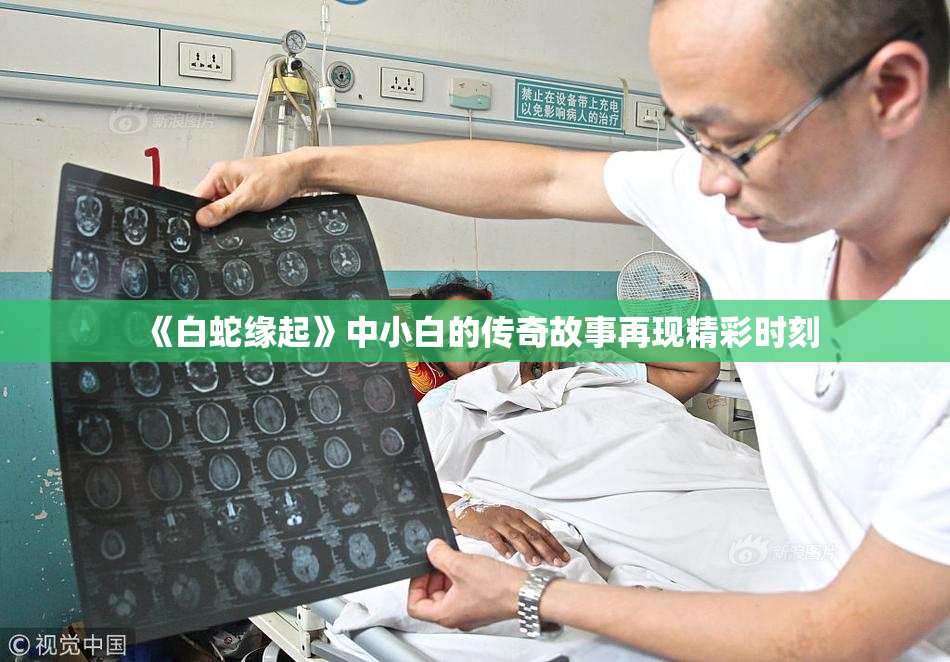 《白蛇缘起》中小白的传奇故事再现精彩时刻