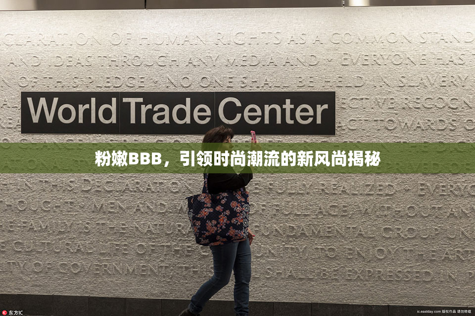 粉嫩BBB，引领时尚潮流的新风尚揭秘