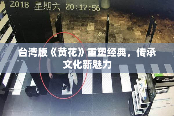 台湾版《黄花》重塑经典，传承文化新魅力