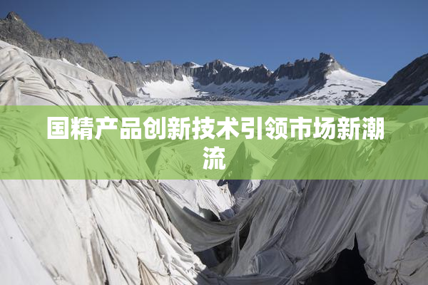 国精产品创新技术引领市场新潮流