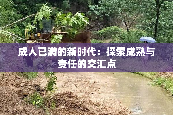 成人已满的新时代：探索成熟与责任的交汇点