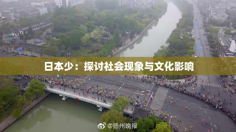 日本少：探讨社会现象与文化影响