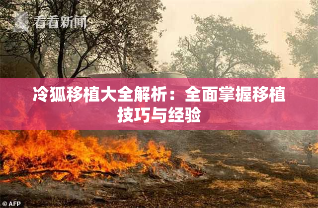 冷狐移植大全解析：全面掌握移植技巧与经验