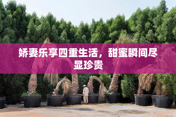 娇妻乐享四重生活，甜蜜瞬间尽显珍贵