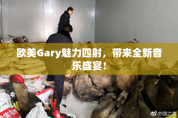 欧美Gary魅力四射，带来全新音乐盛宴！