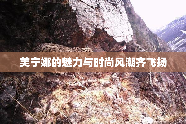 芙宁娜的魅力与时尚风潮齐飞扬