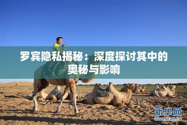 罗宾隐私揭秘：深度探讨其中的奥秘与影响