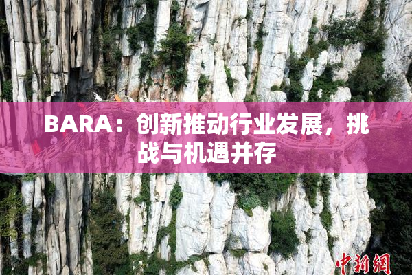 BARA：创新推动行业发展，挑战与机遇并存