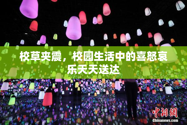 校草夹震，校园生活中的喜怒哀乐天天送达