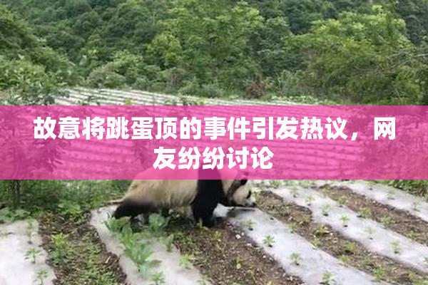 故意将跳蛋顶的事件引发热议，网友纷纷讨论