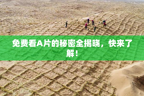 免费看A片的秘密全揭晓，快来了解！