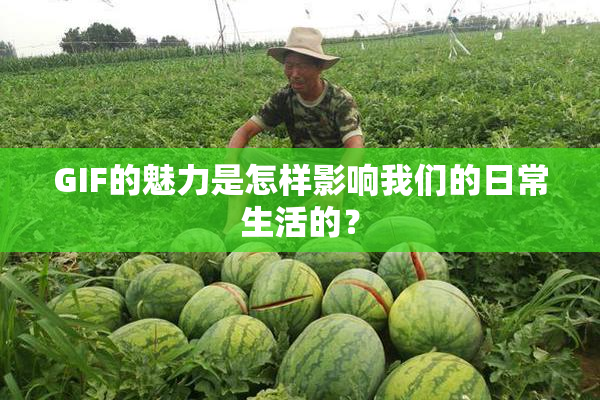GIF的魅力是怎样影响我们的日常生活的？