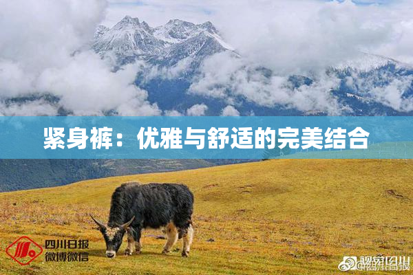 紧身裤：优雅与舒适的完美结合