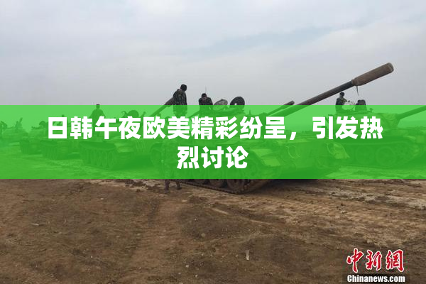日韩午夜欧美精彩纷呈，引发热烈讨论
