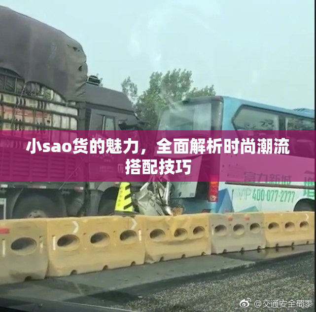 小sao货的魅力，全面解析时尚潮流搭配技巧