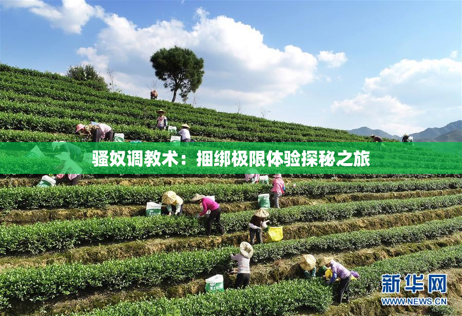 骚奴调教术：捆绑极限体验探秘之旅