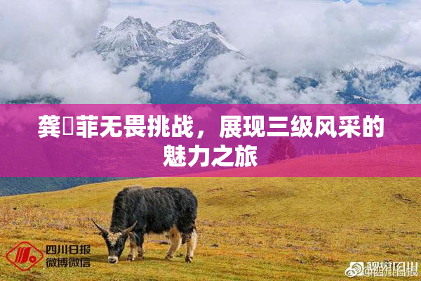 龚玥菲无畏挑战，展现三级风采的魅力之旅