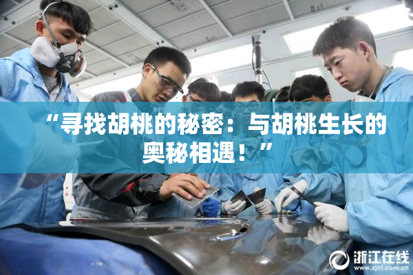 “寻找胡桃的秘密：与胡桃生长的奥秘相遇！”
