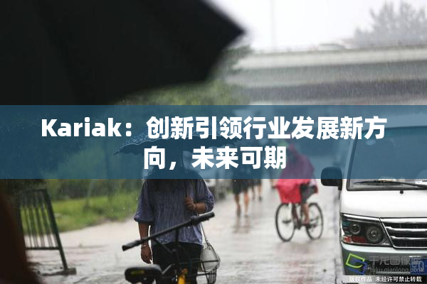 Kariak：创新引领行业发展新方向，未来可期