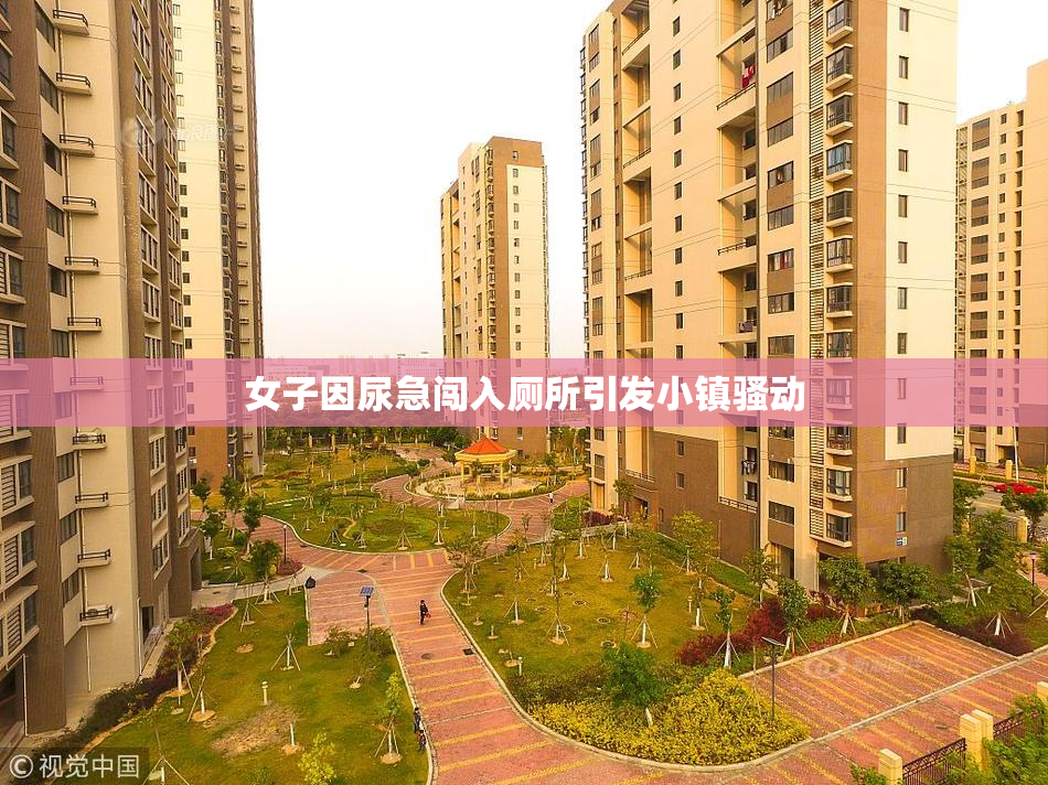 女子因尿急闯入厕所引发小镇骚动