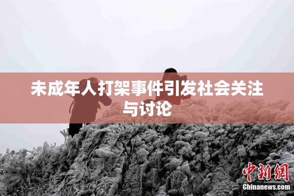 未成年人打架事件引发社会关注与讨论