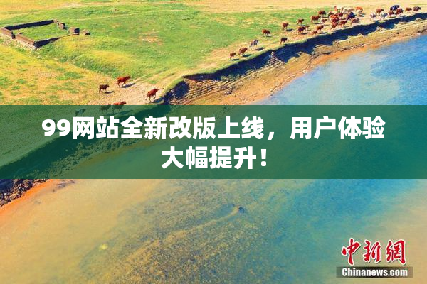 99网站全新改版上线，用户体验大幅提升！