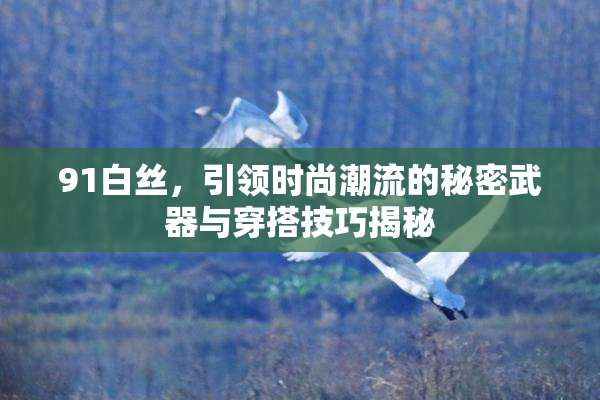 91白丝，引领时尚潮流的秘密武器与穿搭技巧揭秘