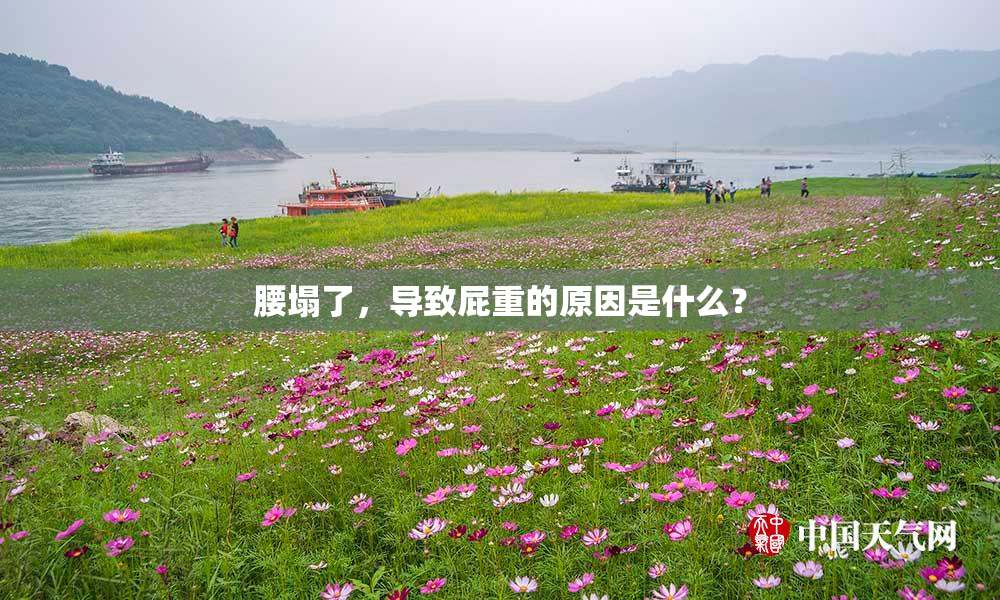 腰塌了，导致屁重的原因是什么？