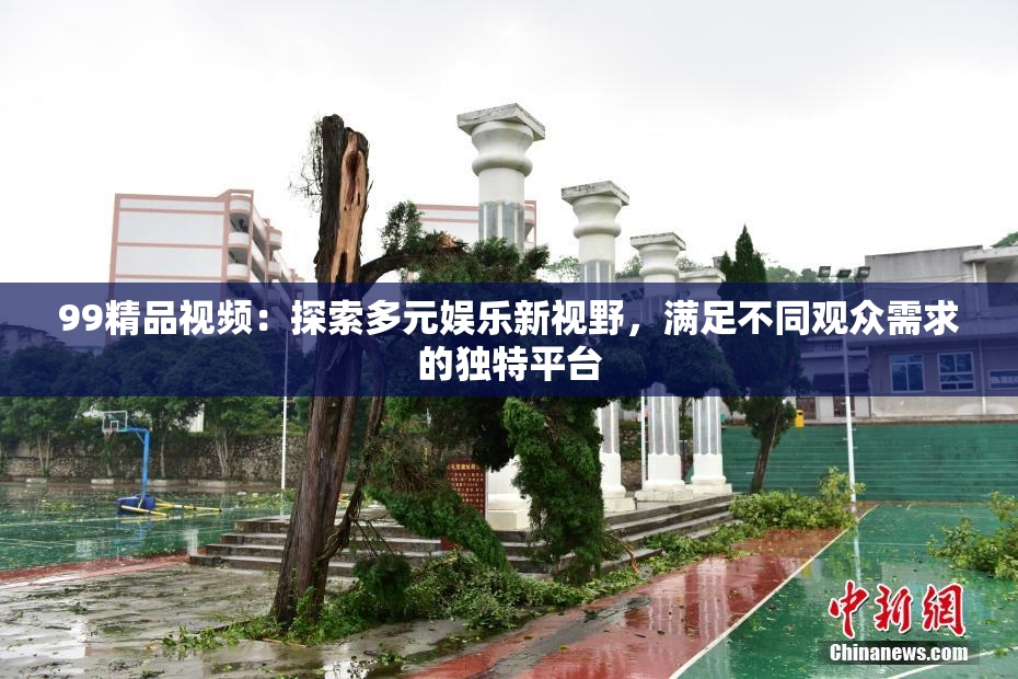 99精品视频：探索多元娱乐新视野，满足不同观众需求的独特平台