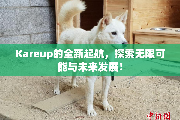 Kareup的全新起航，探索无限可能与未来发展！