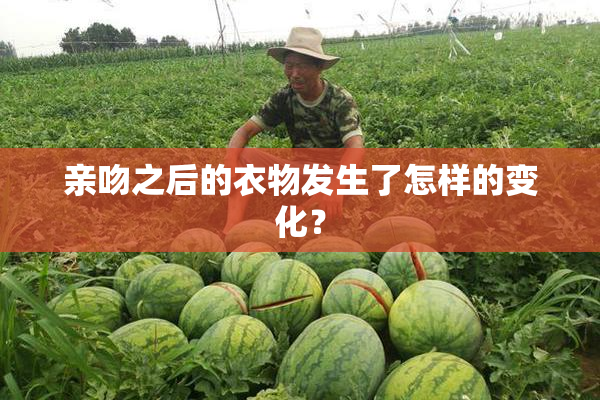 亲吻之后的衣物发生了怎样的变化？