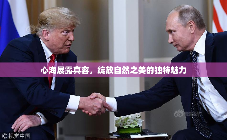 心海展露真容，绽放自然之美的独特魅力