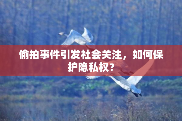 偷拍事件引发社会关注，如何保护隐私权？