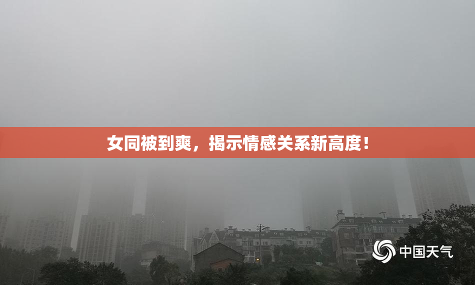 女同被到爽，揭示情感关系新高度！