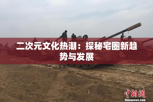 二次元文化热潮：探秘宅圈新趋势与发展