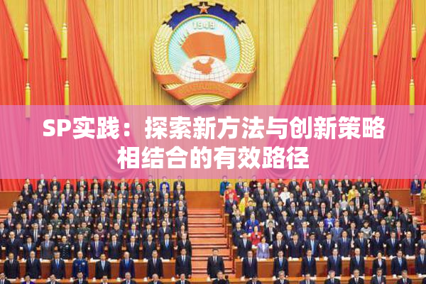 SP实践：探索新方法与创新策略相结合的有效路径