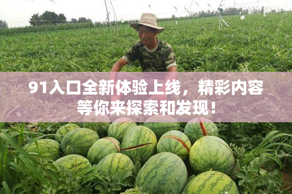91入口全新体验上线，精彩内容等你来探索和发现！