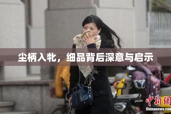尘柄入牝，细品背后深意与启示