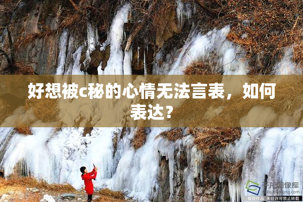 好想被c秘的心情无法言表，如何表达？
