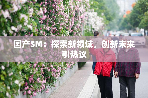 国产SM：探索新领域，创新未来引热议