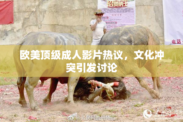 欧美顶级成人影片热议，文化冲突引发讨论
