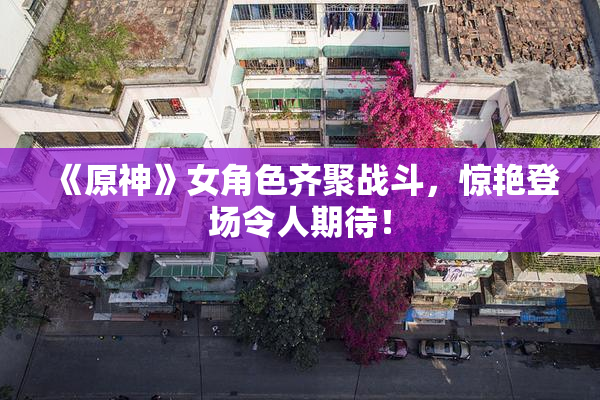 《原神》女角色齐聚战斗，惊艳登场令人期待！